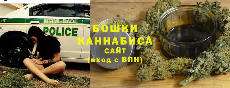 Каннабис OG Kush  Тетюши 